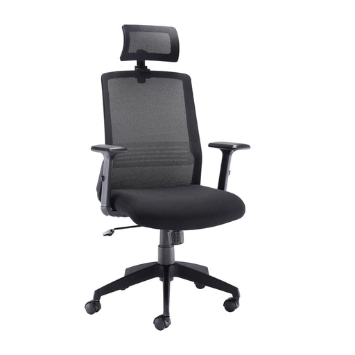 Denali High Back Mesh Office Chair Mesh Office Chairs TC Group Black 